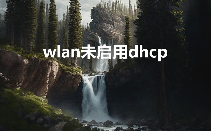 wlan未启用dhcp（怎么启动wifi的DHCP）