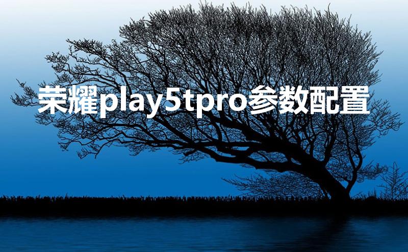 荣耀play5tpro参数配置（6.6英寸手机有多大）
