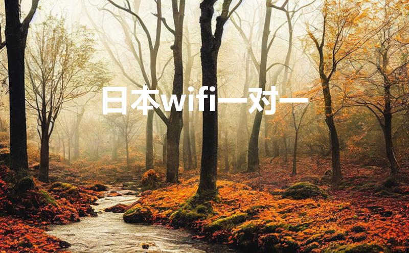日本wifi一对一（日本wifi是一个人一个吗）